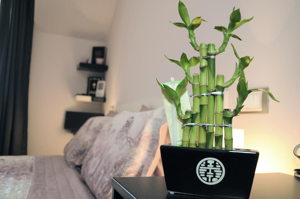 Derelli Deluxe And Derelli Adorable Apartments 索菲亞 客房 照片